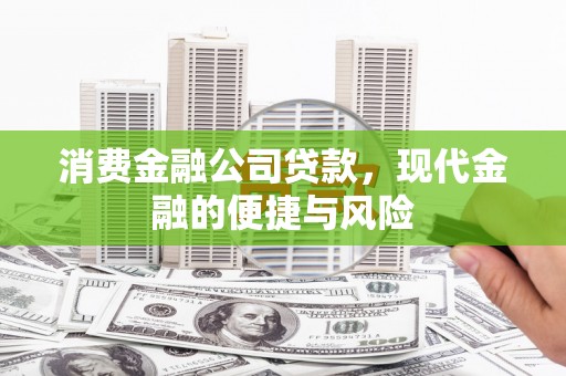 沈河消费金融公司贷款，现代金融的便捷与风险