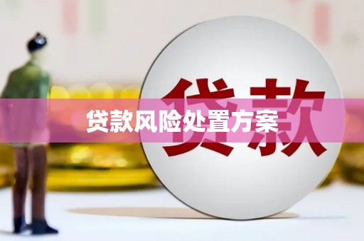 沈河贷款风险处置方案
