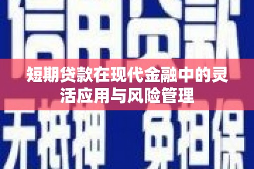 沈河短期贷款在现代金融中的灵活应用与风险管理