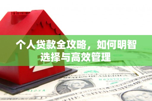 沈河个人贷款全攻略，如何明智选择与高效管理