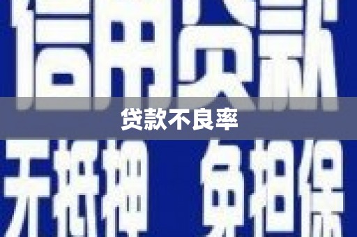 沈河贷款不良率