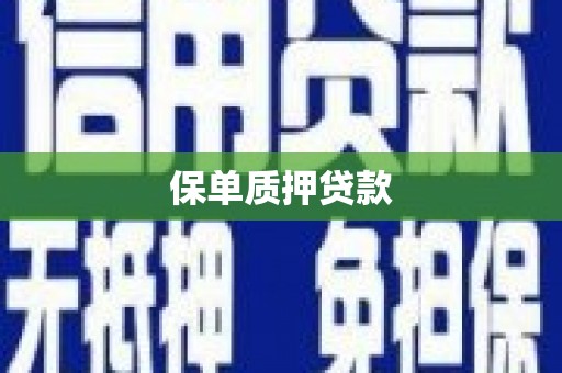沈河保单质押贷款