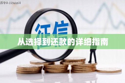 沈河从选择到还款的详细指南