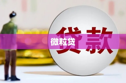 沈河微粒贷