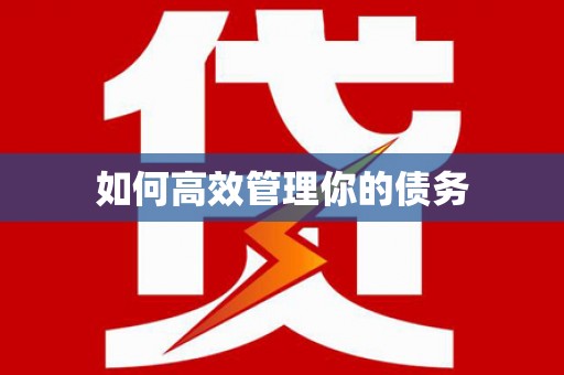 沈河如何高效管理你的债务