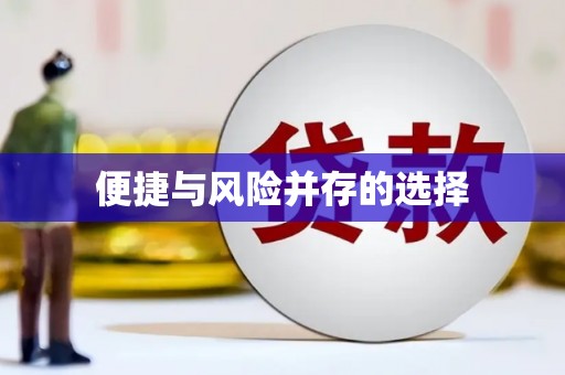 沈河便捷与风险并存的选择