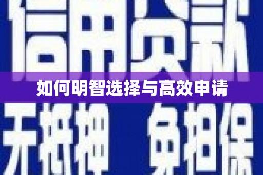 沈河如何明智选择与高效申请