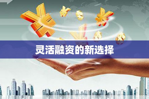 沈河灵活融资的新选择