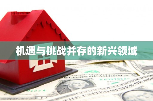 沈河机遇与挑战并存的新兴领域