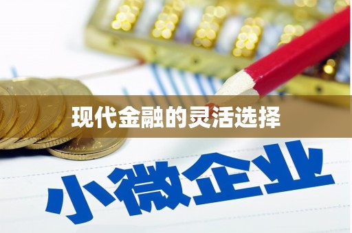 沈河现代金融的灵活选择