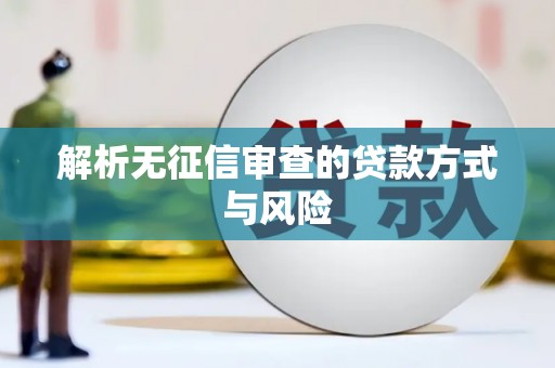沈河解析无征信审查的贷款方式与风险