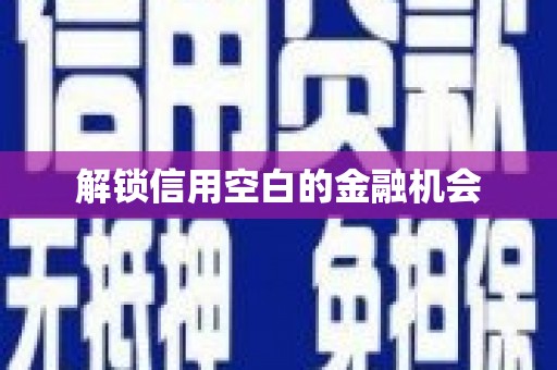 沈河解锁信用空白的金融机会