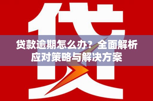 沈河贷款逾期怎么办？全面解析应对策略与解决方案