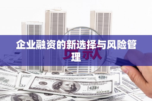沈河企业融资的新选择与风险管理