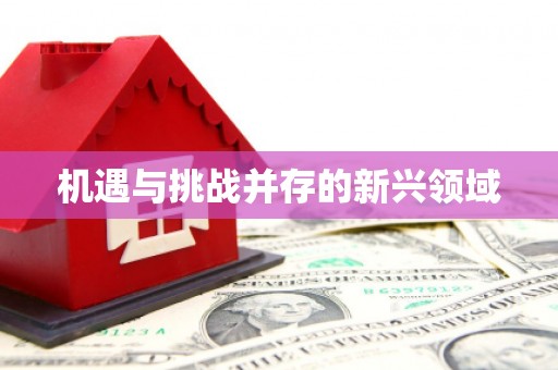 沈河机遇与挑战并存的新兴领域