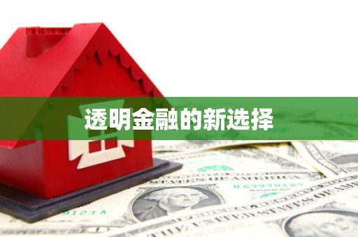 沈河透明金融的新选择