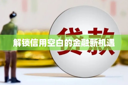 沈河解锁信用空白的金融新机遇