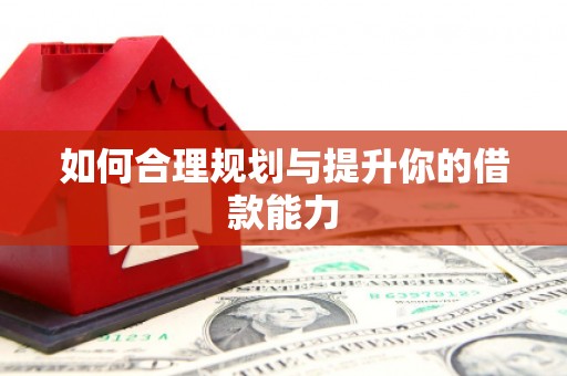 沈河如何合理规划与提升你的借款能力