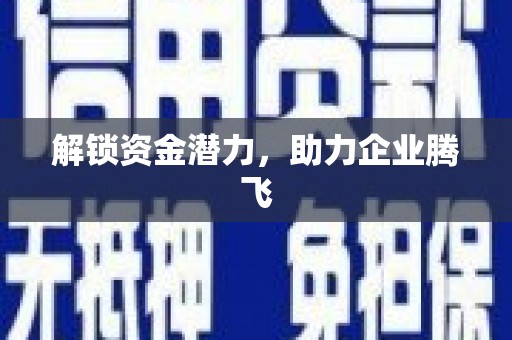 沈河解锁资金潜力，助力企业腾飞