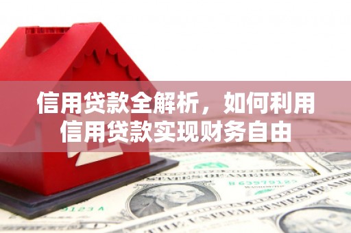 沈河信用贷款全解析，如何利用信用贷款实现财务自由
