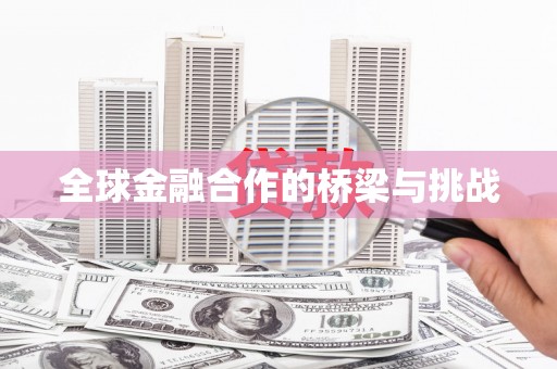 沈河全球金融合作的桥梁与挑战