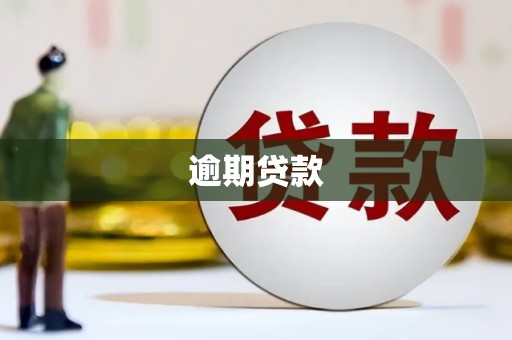 沈河逾期贷款