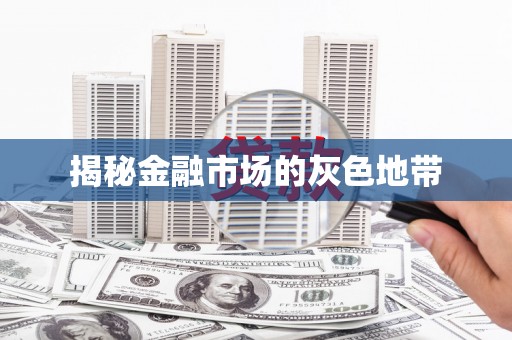 沈河揭秘金融市场的灰色地带