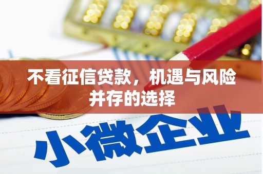 沈河不看征信贷款，机遇与风险并存的选择