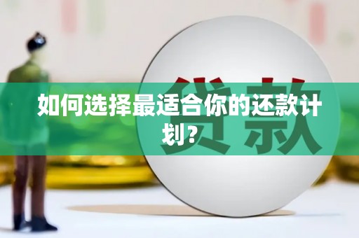 沈河如何选择最适合你的还款计划？