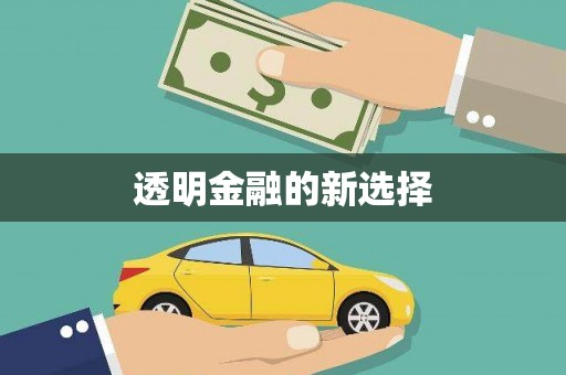 沈河透明金融的新选择