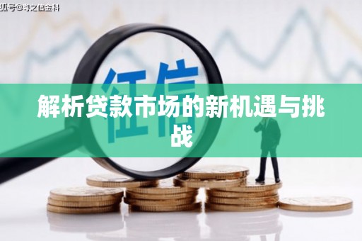 沈河解析贷款市场的新机遇与挑战