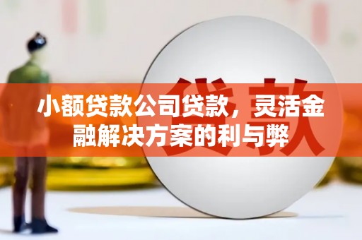 沈河小额贷款公司贷款，灵活金融解决方案的利与弊