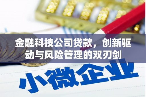 沈河金融科技公司贷款，创新驱动与风险管理的双刃剑