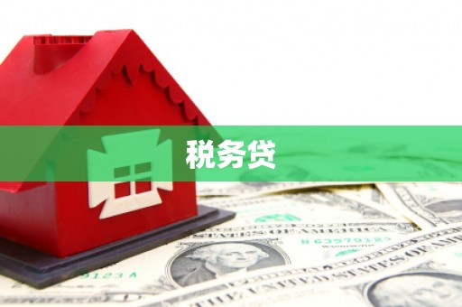 沈河税务贷